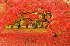 微信男生最霸气的网名_倾尽世俗的爱