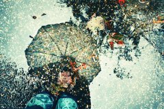 描写雨的优美句子_连雨不知春去