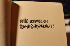 关于正能量的句子2017 热爱生命努力生活