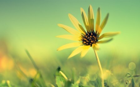 人生经历感悟经典说说