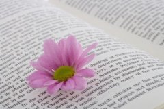 非主流女生时尚潮流昵称_晚倦