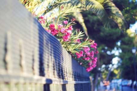 心情很糟糕的伤感心情说说