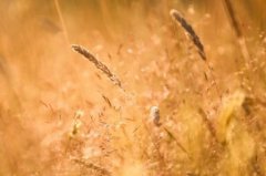 2018年最伤感的句子说说心情