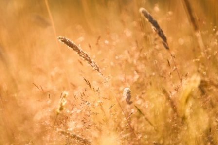 2018年最伤感的句子说说心情