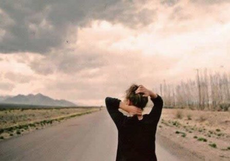 感人肺腑的爱情句子