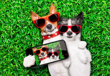 豪言壮语励志句子