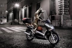 幽默搞笑说说 幽默搞笑说说2017