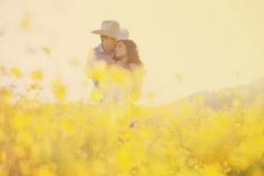 关于爱情的经典句子 经典句子爱情心情短语