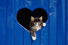 关于贪婪的优美句子 形容人贪婪的句子