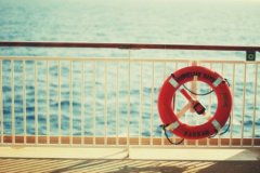 柳絮纷飞的优美句子 形容柳絮纷飞的句子