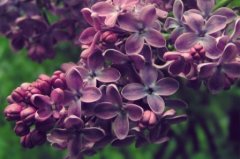 有关失眠的搞笑说说 睡不着的搞笑说说句子