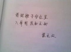 打动人心的情话短语 最打动人心的情话