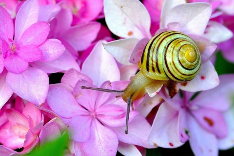 新的开始地方个性签名