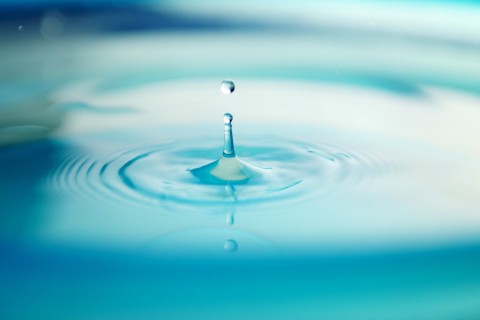 客户的信任的说说