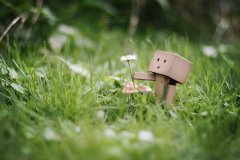 唯美心情的说说带图片 心情图片大全唯美带字