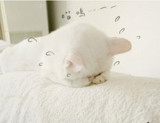 放下你的说说 放下一段感情的说说