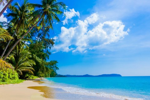 雷锋乐于助人的名言