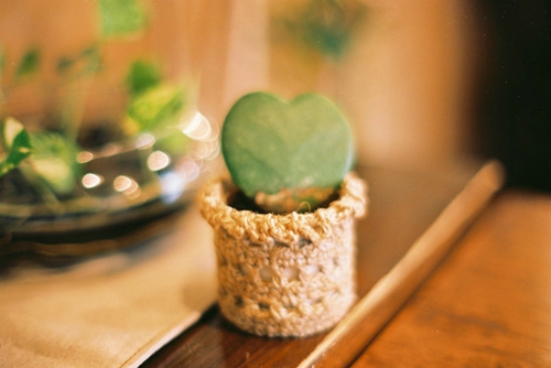 励志正能量奋斗的句子