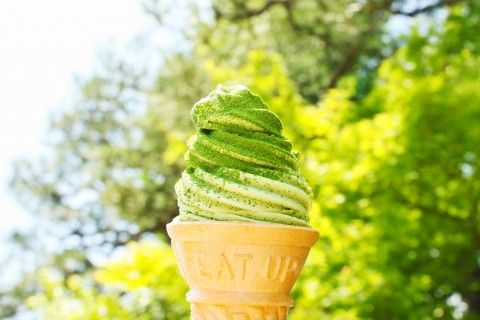 爱国的古诗和名人名言