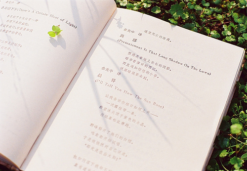 关于努力奋斗的句子