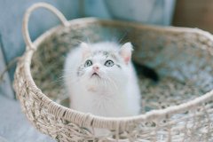 幸福家庭的句子 幸福家庭的短语