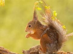 团队销售励志的句子 团队励志的句子