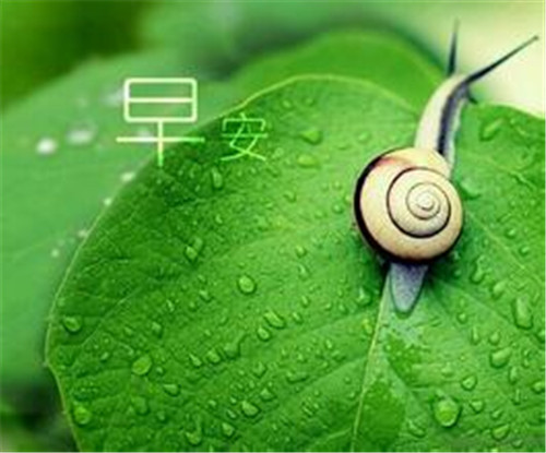 超经典的励志句子