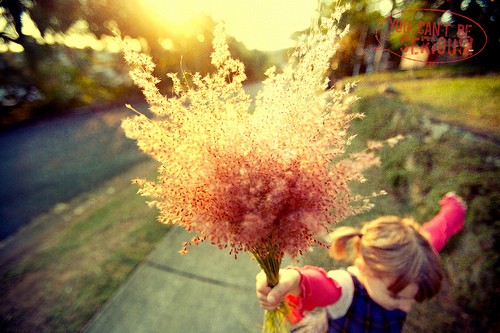 励志语录经典短句