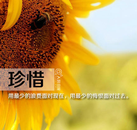 励志语录经典短句