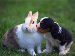 你别无理取闹的说说 嫌我无理取闹的说说