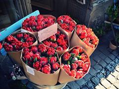 心情好句子 开心的句子说说心情