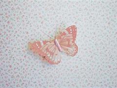 带哥的网名三个字的