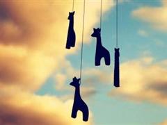 形容老年人的句子 形容老年人唯美句子