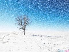 下雪的优美句子 描写下雪的优美句子