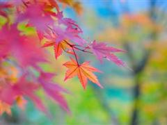 关于坚强乐观的说说 关于乐观坚强的名言