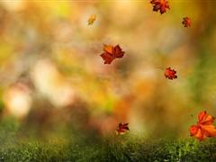 关于哲学的说说 哲理说说大全人生感悟