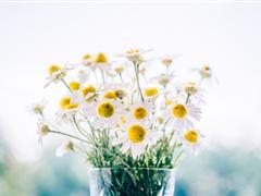 关于期末考试的说说 关于即将考试的说说