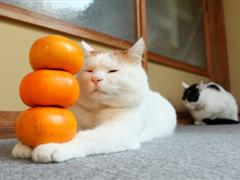 最雷人的说说 最雷人的话