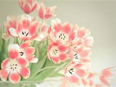 关于自在的说说 关于自在的句子