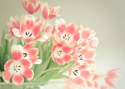 关于自在的说说