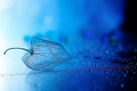 描写山水风光的句子