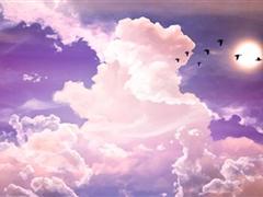 唯美幽默句子 幽默灵魂的句子