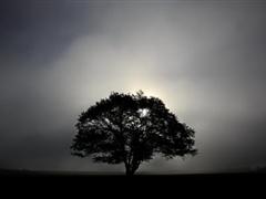 关于命运的说说 感慨命运捉弄人的说说