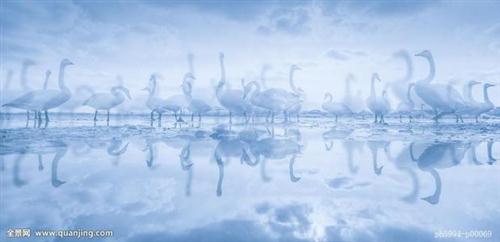 描写快乐的唯美句子