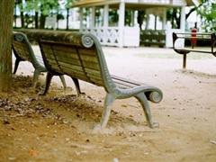 描写小草的优美句子 赞美小草的句子简短