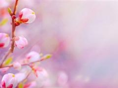 关于明媚的说说 阳光明媚的心情说说