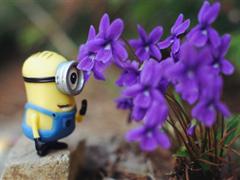 与人共勉的话 与君共勉的经典句子