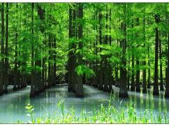 写景的优美句子 写景优美句子摘抄大全