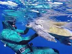 感谢恩人的话 感谢恩人的优美句子