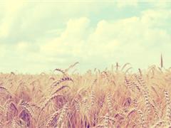 婚礼上对妻子说的话 婚礼对老婆说的话